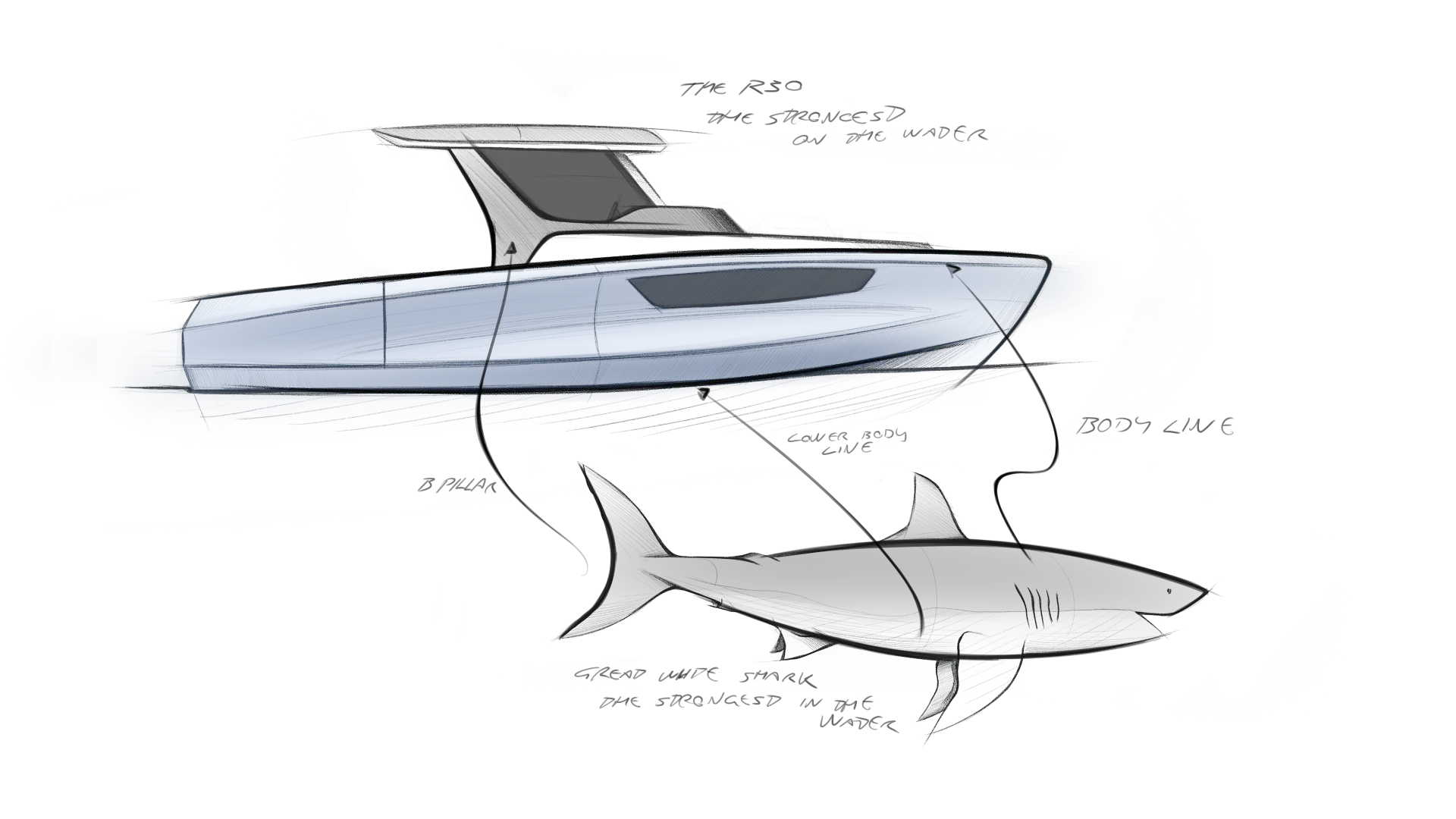 Sketch comparing the R30 side profile with a great white shark silhouette